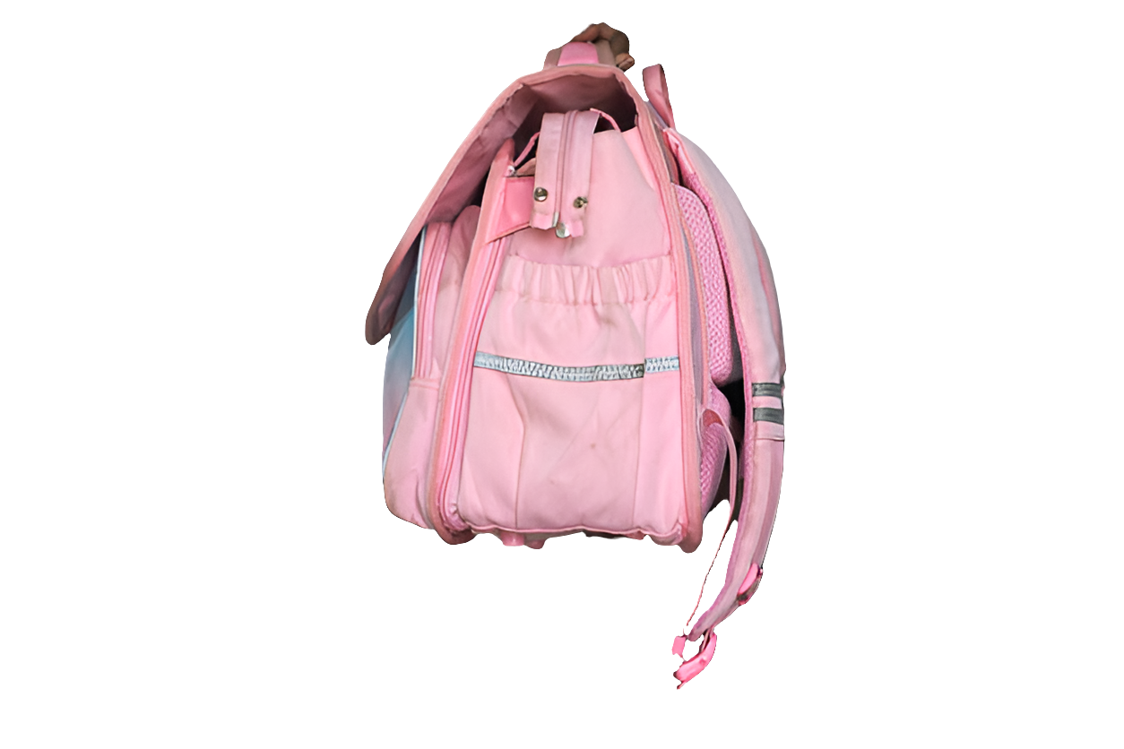 Pink Blue Cambridge Tree Backpack Women's Girls Mtumba School Bag