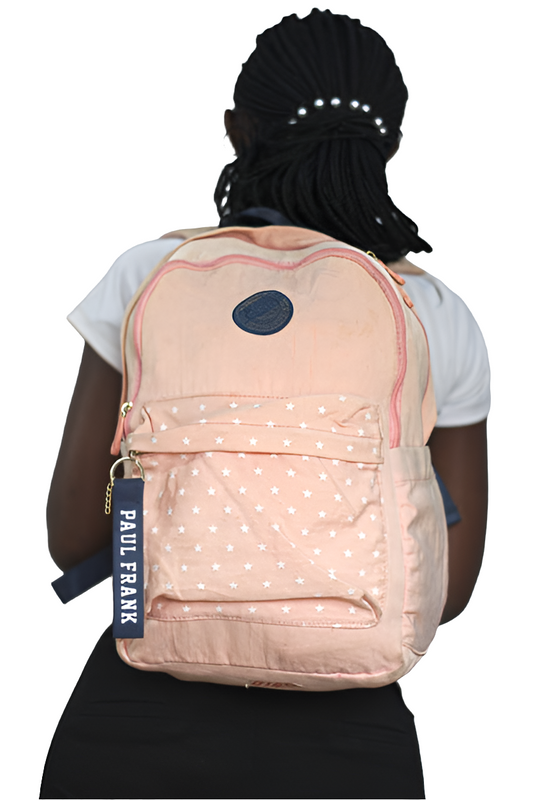 Pink Paul Frank Backpack Women's Girls Mtumba School Bag