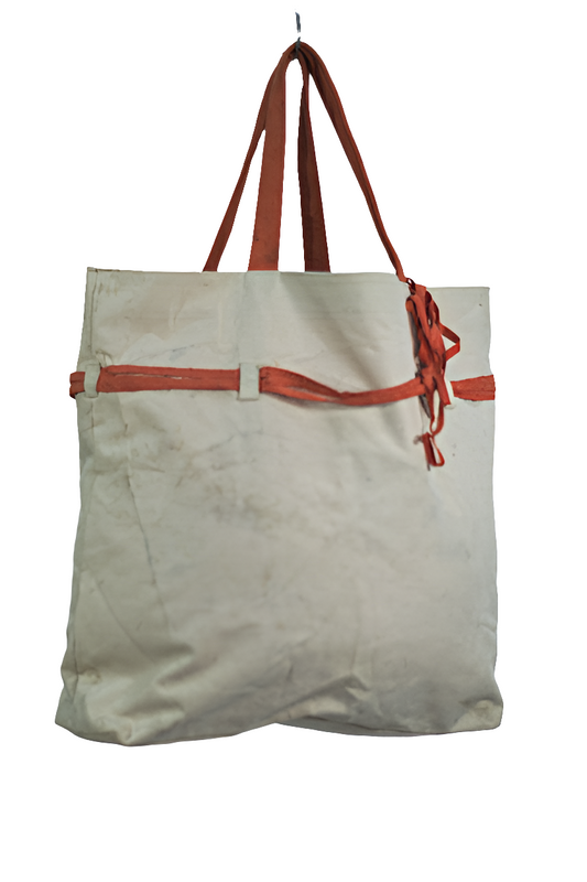 White Orange Canvas Shoulder Girls Ladies Women's Tote Bag Handbag Mtumba Handbag
